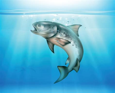 Fish Underwater Realistic Background 3294344 Vector Art at Vecteezy