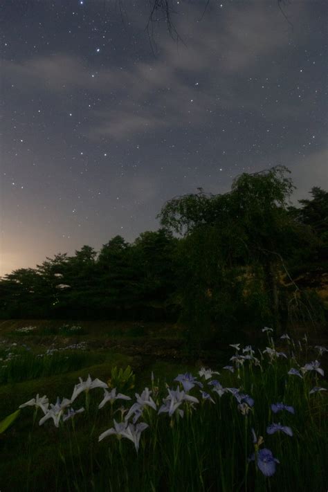 星の観察館「満天星」さんの人気ツイート（古い順） ついふぁん！