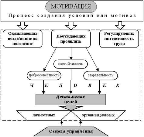 Мотивы и потребности