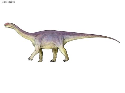 253401 Safe Artistcisiopurple Dinosaur Sauropod Feral