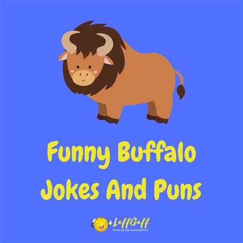 20 Hilarious Buffalo Jokes And Puns LaffGaff