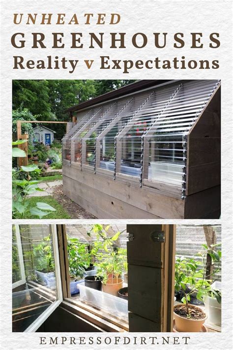 Unheated Greenhouses Realistic Uses Surprising Alternatives