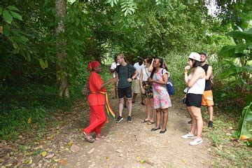 Rastafari Cultural Village Tour Highlights From Montego Bay Grand