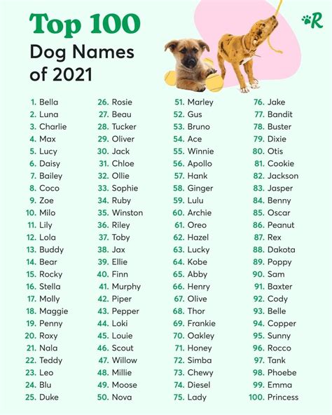 dog names  list  names ideas  male  female dog cute puppy