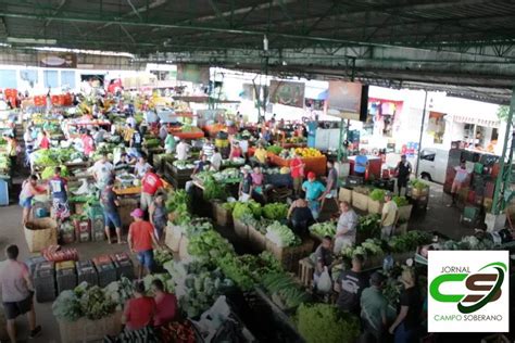 Motivos Para Escolher A Distribuidora De Frutas Da Ceasa Para Frutas