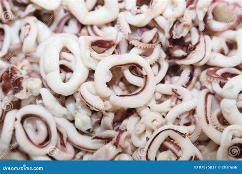 Boiled Calamari Squid Rings Stock Image - Image of fishing, plate: 87875037