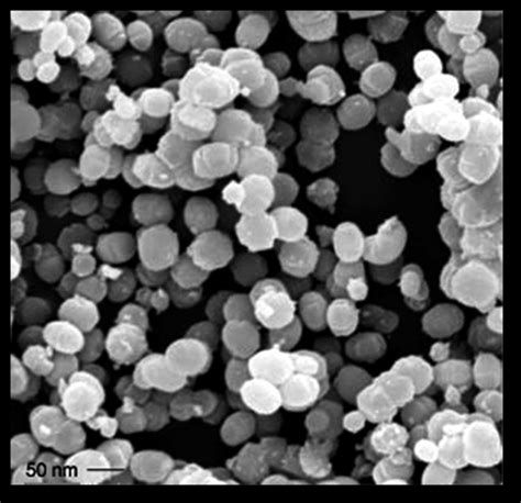 Nucleophile Chemistry of Two Component γAl2O3 ZSM5 Zeolite