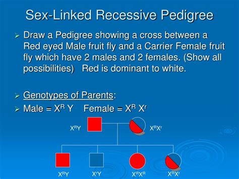 Ppt Human Genetics Powerpoint Presentation Free Download Id 118052