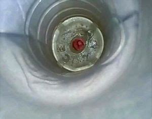 Watch Cum Cumshot Cum Drinking Cam Porn SpankBang