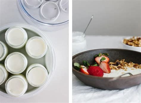 How to Make Homemade Yogurt (Easy, Step-by-Step)