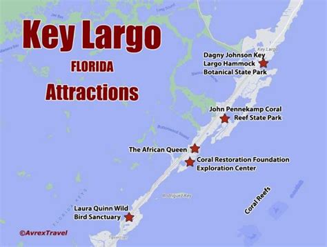 Key Largo In One Day Vibrant Coral Reefs And Conservation Excellence