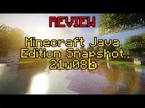 Minecraft Review Java Edition Snapshot W B Solo Bugs Youtube