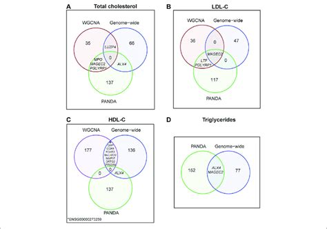 Carbohydrates And Lipids Venn Diagram