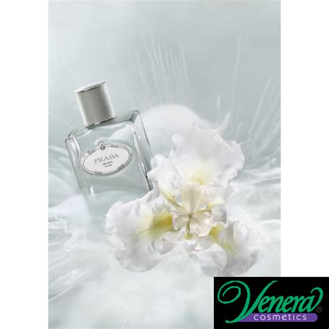 Prada Infusion d'Iris Cedre EDP 100ml for Men and Women Without Package | Venera Cosmetics