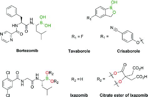 Examples Of Boronic Acids In Pharmacologically Relevant Compounds