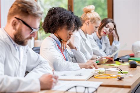 Ciclo B Sico Da Medicina O Que Voc Precisa Saber Sobre Esta Etapa Da