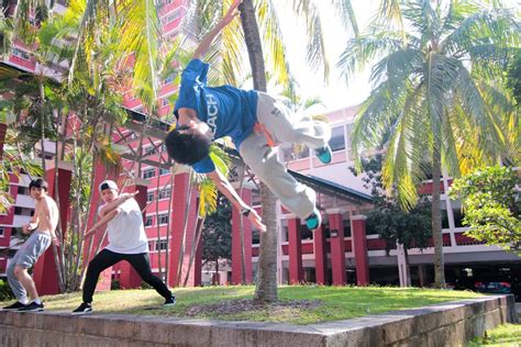 Top 10 Parkour Spots In Singapore You Need To Visit Lion City Academy