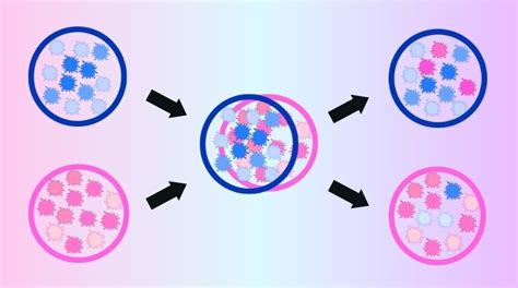 Sexome Bacteria Could Help Identify Sex Criminals