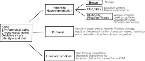 Global Periorbital Skin Rejuvenation By A Topical Eye Cream Containing