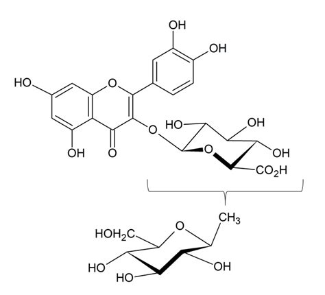 フラボノイドコレクション一覧FlavonolQuercetin 3 glucosylglucuronide