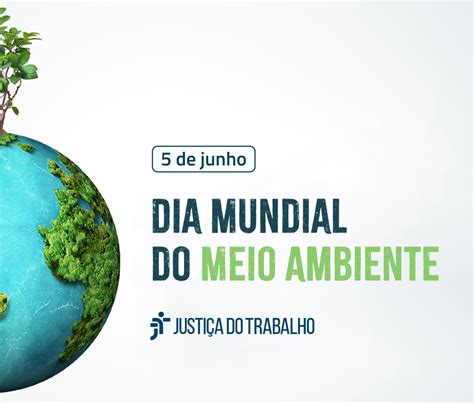 Dia Mundial do Meio Ambiente confira o resultado das ações do TRT 4