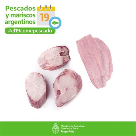 Rodajas de Cazón Lomito de atún x 500 GRS Venta online de Pescados