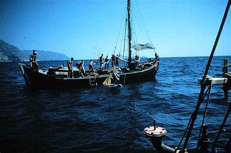 Cape Gelidonya Late Bronze Age Shipwreck Excavation - Institute of ...