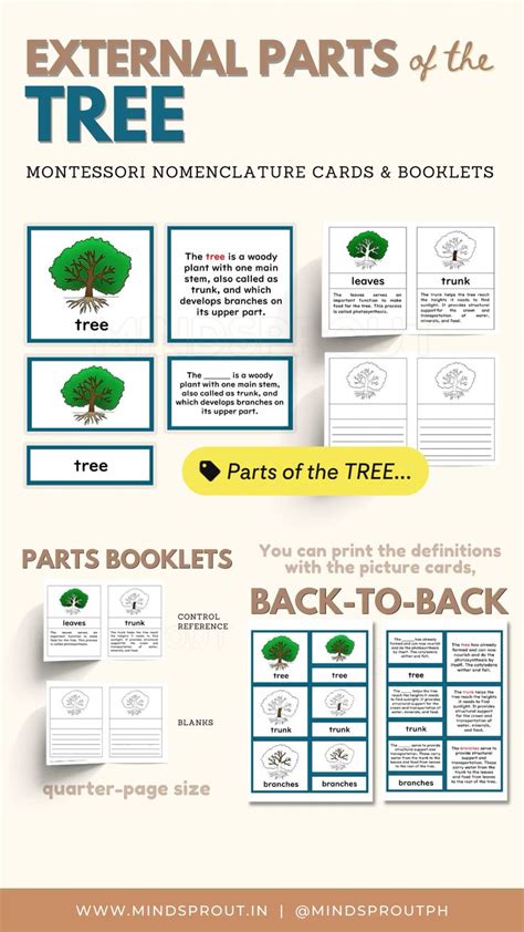 Pin On Montessori Botany Materials