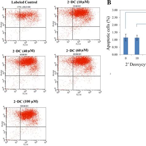 Cytotoxicity Analysis Of Uc Mscs Treated With Different Concentrations Download Scientific