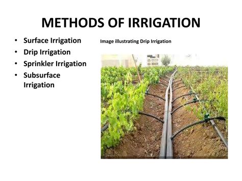 Irrigation Ppt 1 Pptx