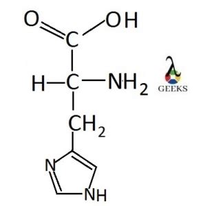 Histidine Amino Acid Structure, Properties, Uses, And Facts