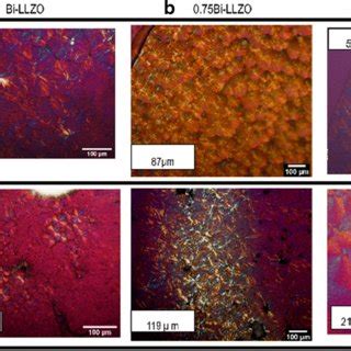 Xrd Patterns For Peo Litfsi Matrixes Loaded With The Particle Wt