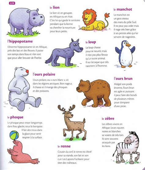 203 best FLE: Animaux images on Pinterest | Vocabulary, Adorable ...
