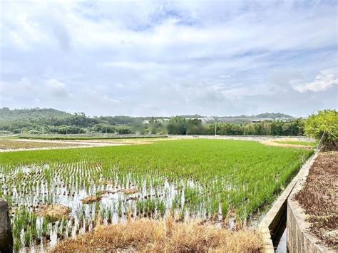 其他天仁茗茶旁見樂農地新竹市見樂段 樂屋網 土地買賣