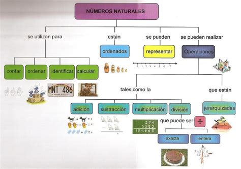 Mapas Mentales Mapa Conceptual De Numeros Primos Y Compuestos Mobile