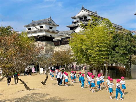 Matsuyama Castle, Ehime. - Alo Japan