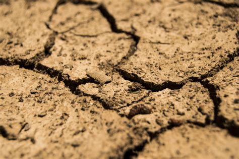 Fotos gratis : naturaleza, arena, madera, campo, textura, piso, asfalto ...