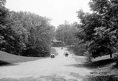 1906 Drive in Forest Park, Springfield, MA Vintage Old Photo 13" x 19 ...