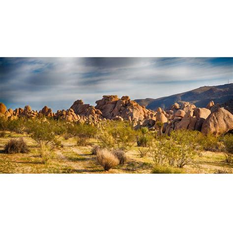 Buy Laeacco Dusk Gobi Desert Scenic 20x10ft Vinyl Photography