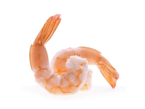 Premium Photo Close Up Of Shrimps Over White Background