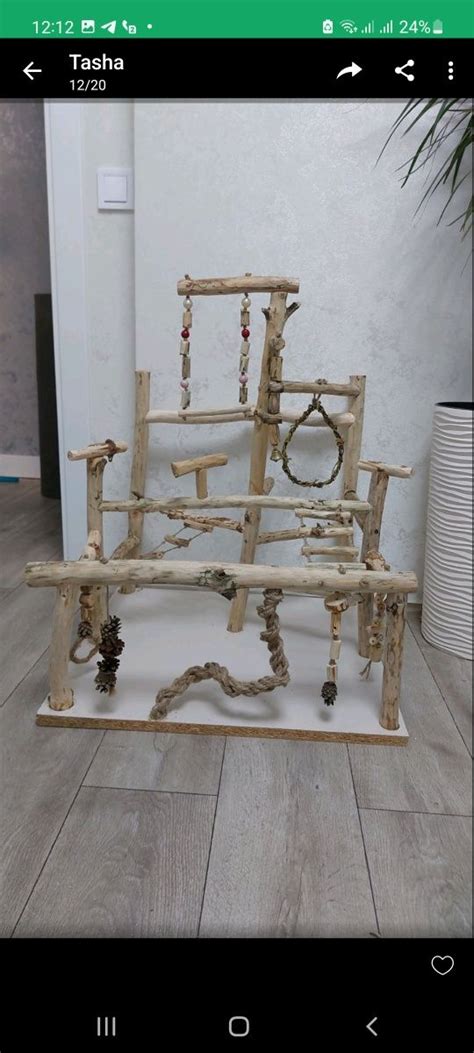 Стенд для попугая: 450 грн. - Зоотовари Ірпінь на Olx