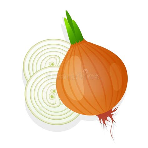 Unpeeled Red Onion Bulb With Green Sprout And Slice Isolated On White