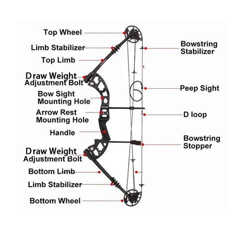 Spg Compound Bow Set 30 60 Lbs Adult Outdoor Archery Equipment Sight