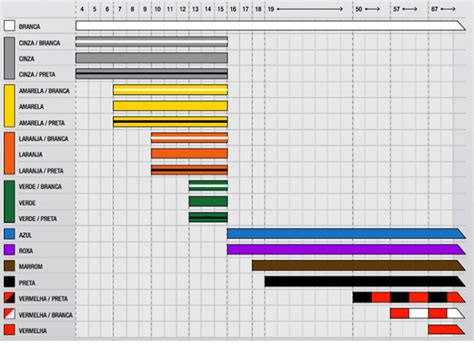 Sistema De Gradua O E Ordem De Faixas No Jiu Jitsu Completo