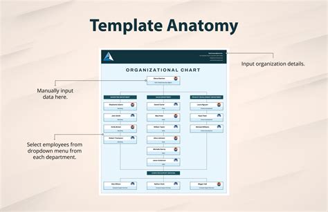 Corporate Organizational Chart Template in Excel, Google Sheets ...