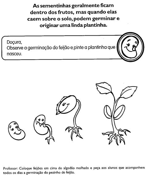 OS SERES VIVOS ATIVIDADES PARA EDUCAÇÃO INFANTIL Cantinho do Educador