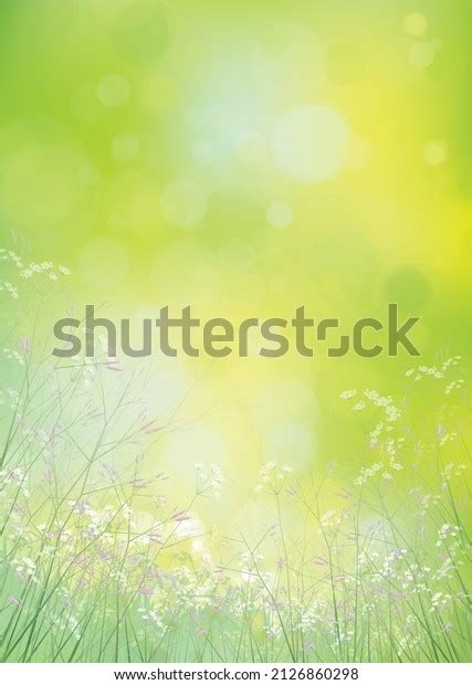 Vector Summer Green Nature Background Flowers Stock Vector Royalty