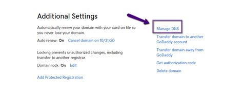 Dns Settings For A Godaddy Domain Easy Storage Solutions