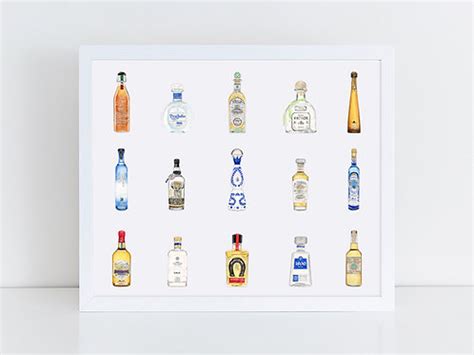 Tequila Collection | emilymercedesart