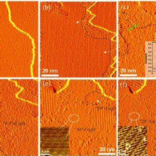 In Situ Stm Images Of Cu A Before And B F After Being Exposed